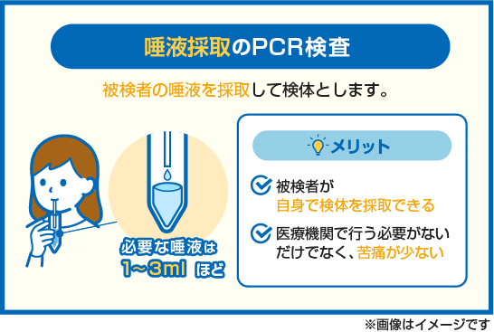 【図解】唾液採取で行うPCR検査のメリットを解説